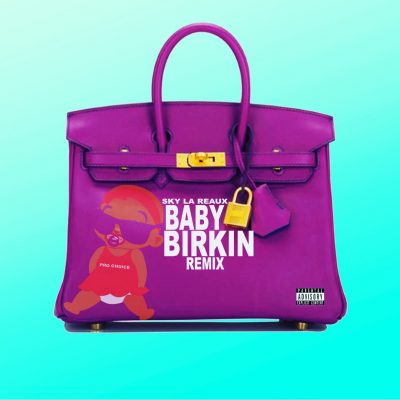 BABY BIRKIN COVER